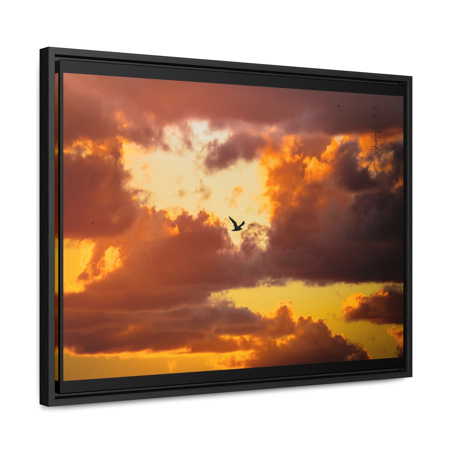 Galerie Toile Wraps, Cadre Horizontal - BeHaP One Bird