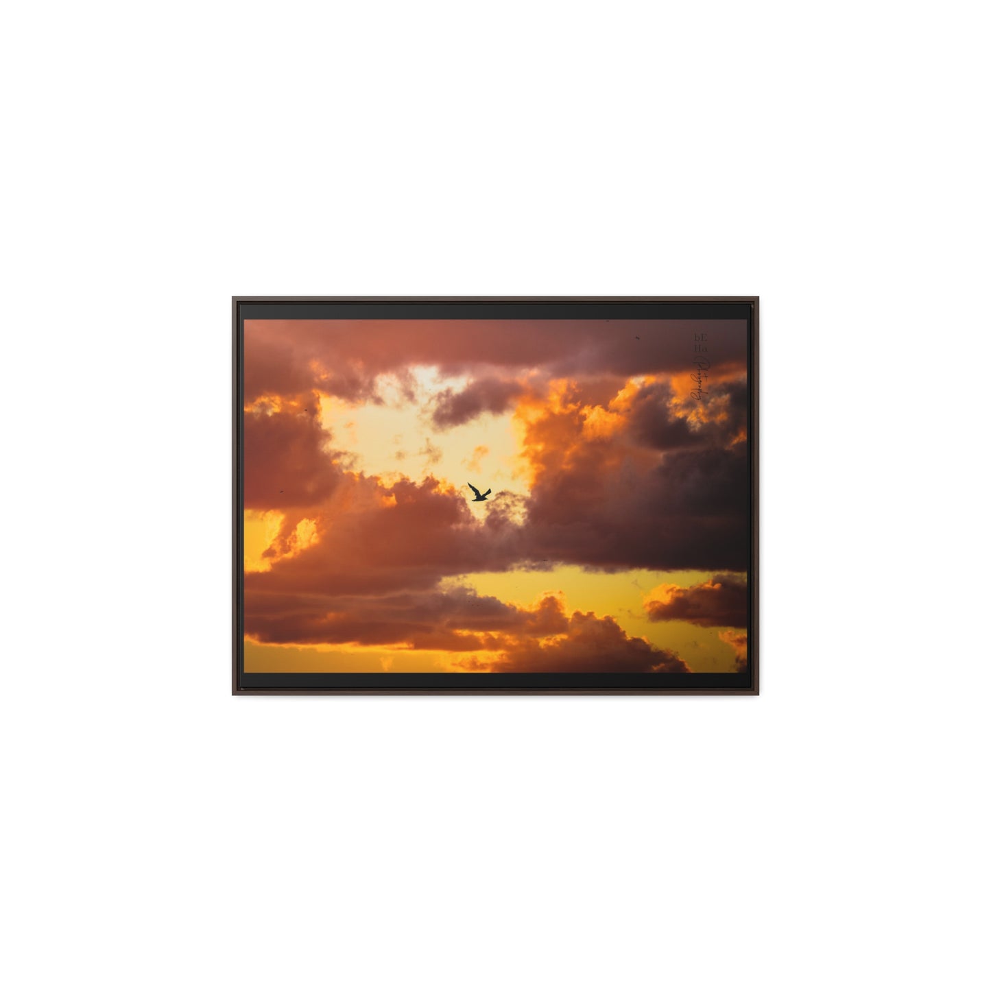 Gallery Canvas Wraps, Horizontal Frame - BeHaP One Bird