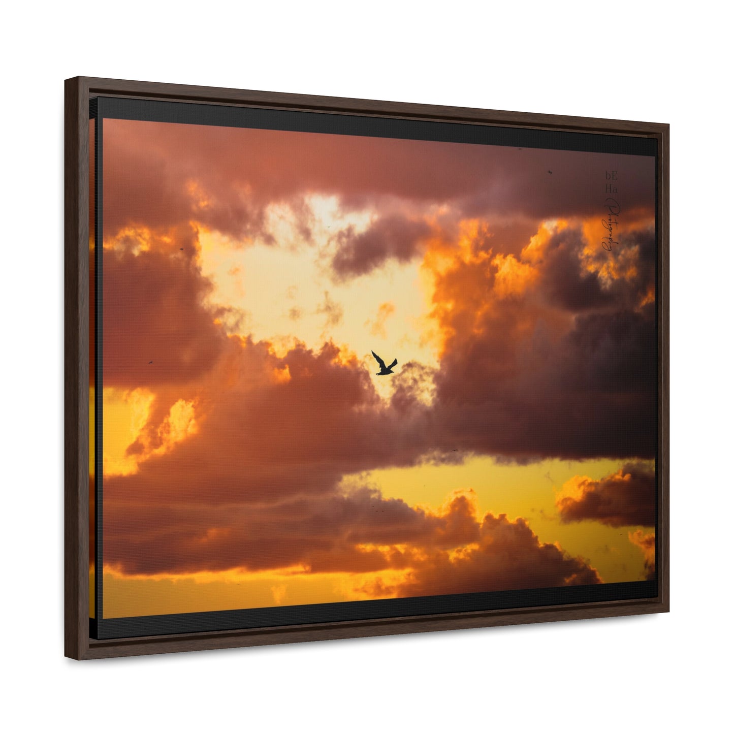 Galerie Toile Wraps, Cadre Horizontal - BeHaP One Bird