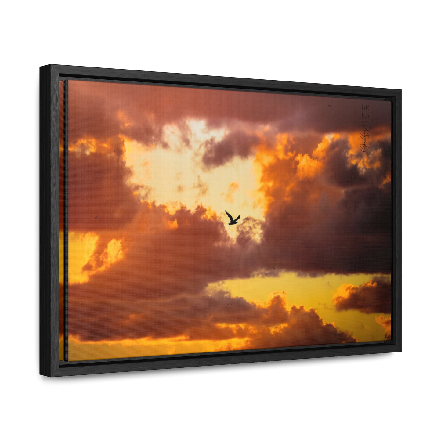 Galerie Toile Wraps, Cadre Horizontal - BeHaP One Bird