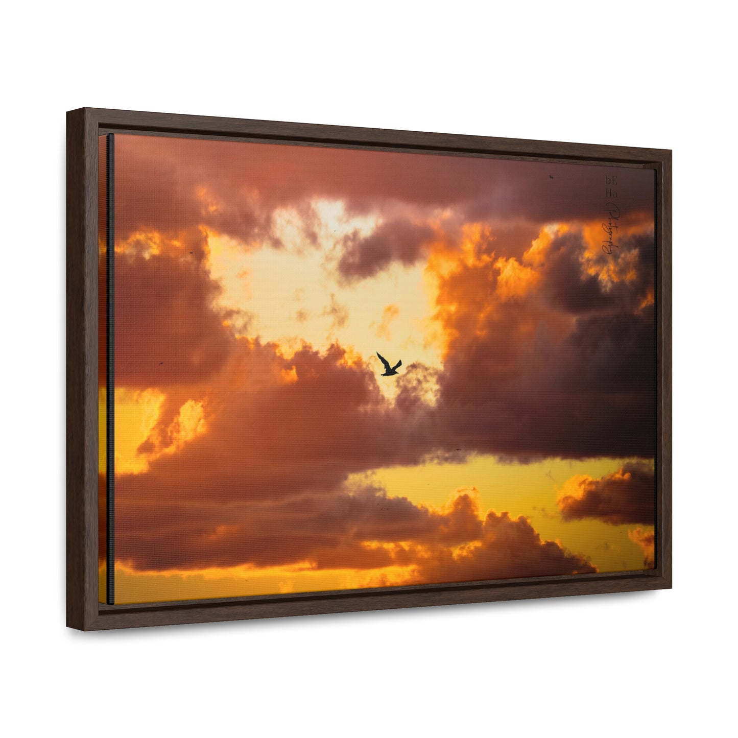 Galerie Toile Wraps, Cadre Horizontal - BeHaP One Bird