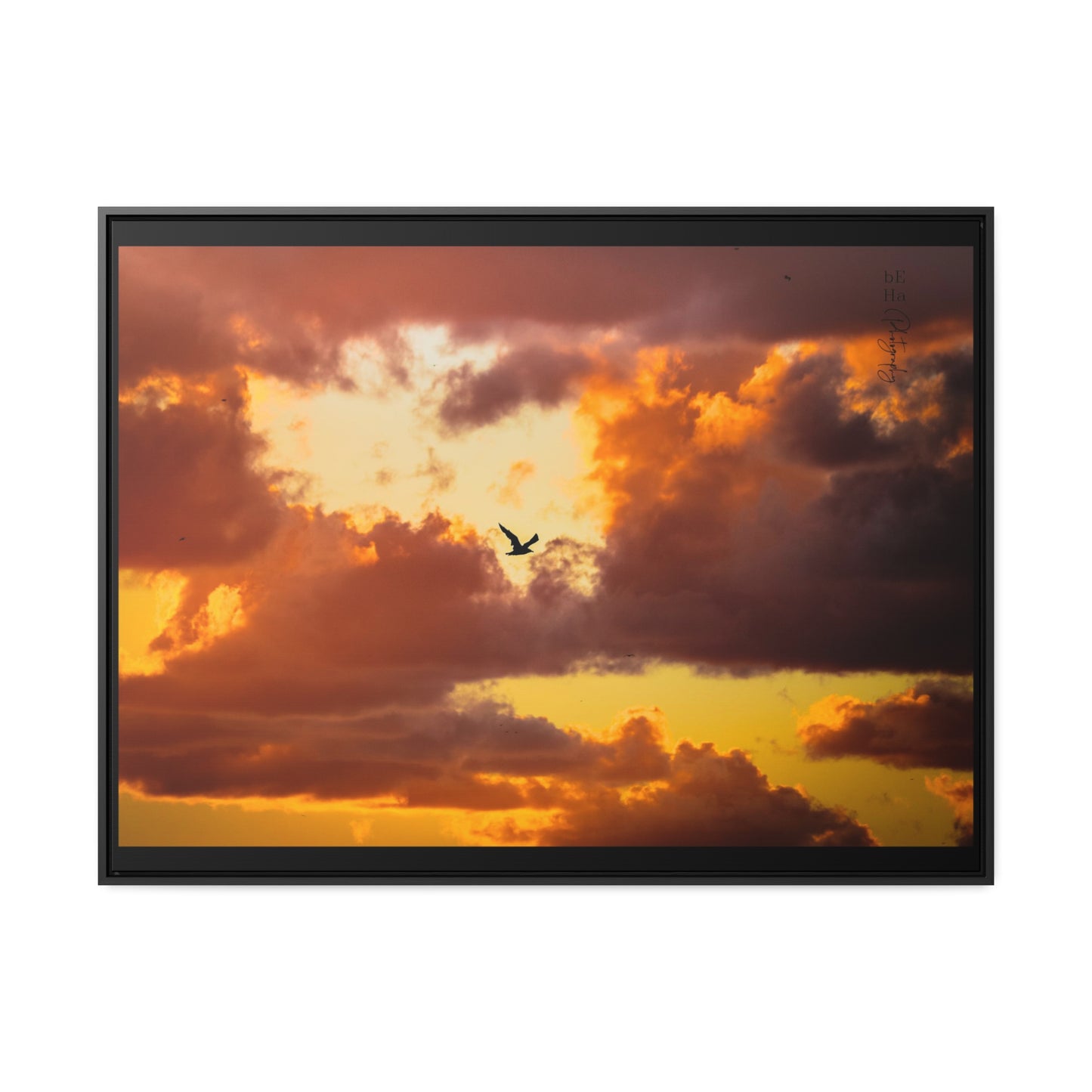 Galerie Toile Wraps, Cadre Horizontal - BeHaP One Bird