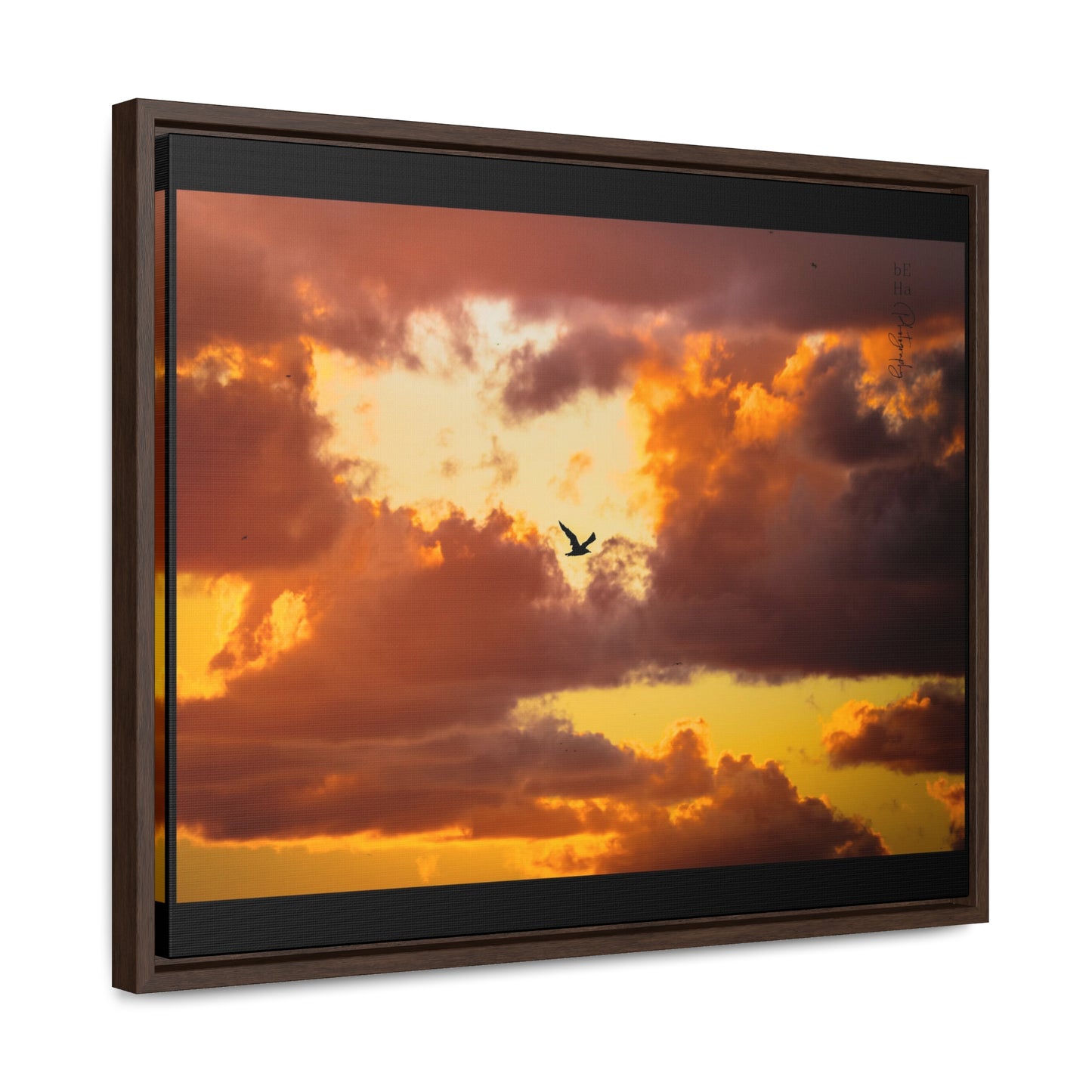 Galerie Toile Wraps, Cadre Horizontal - BeHaP One Bird