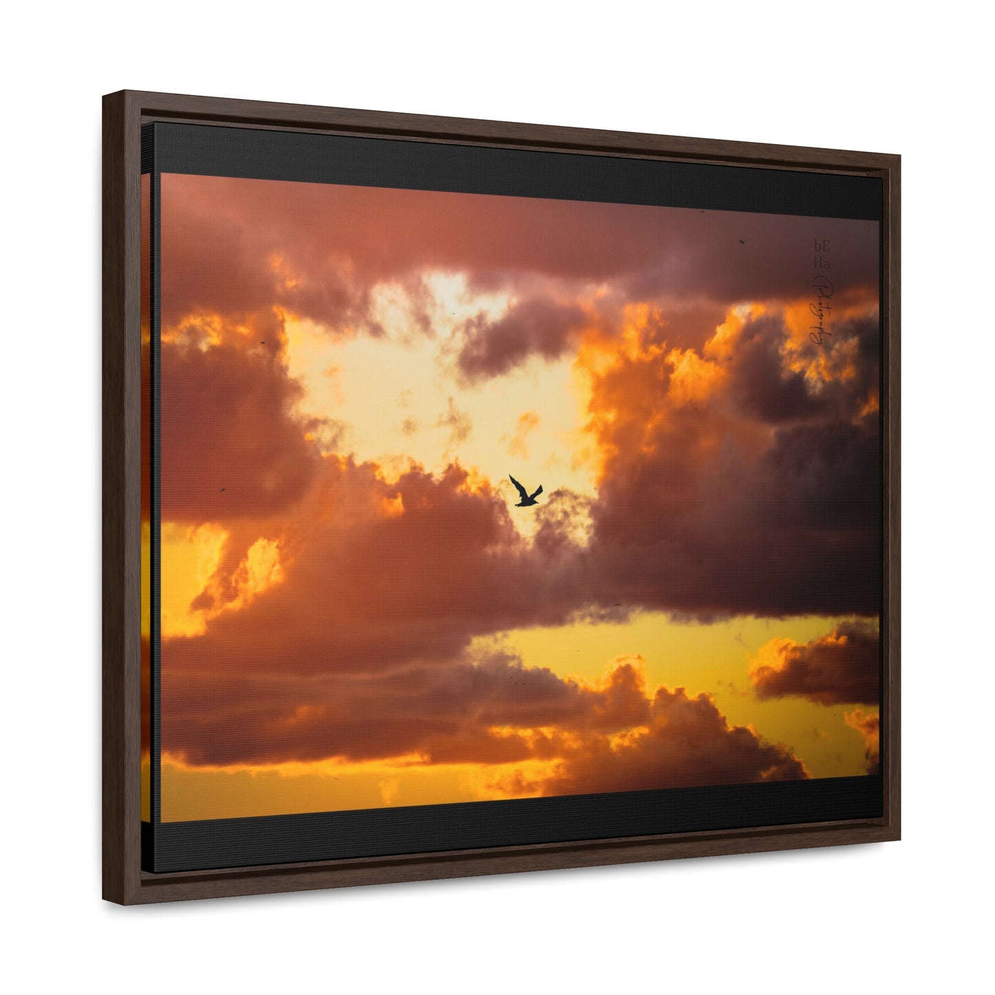 Gallery Canvas Wraps, Horizontal Frame - BeHaP One Bird