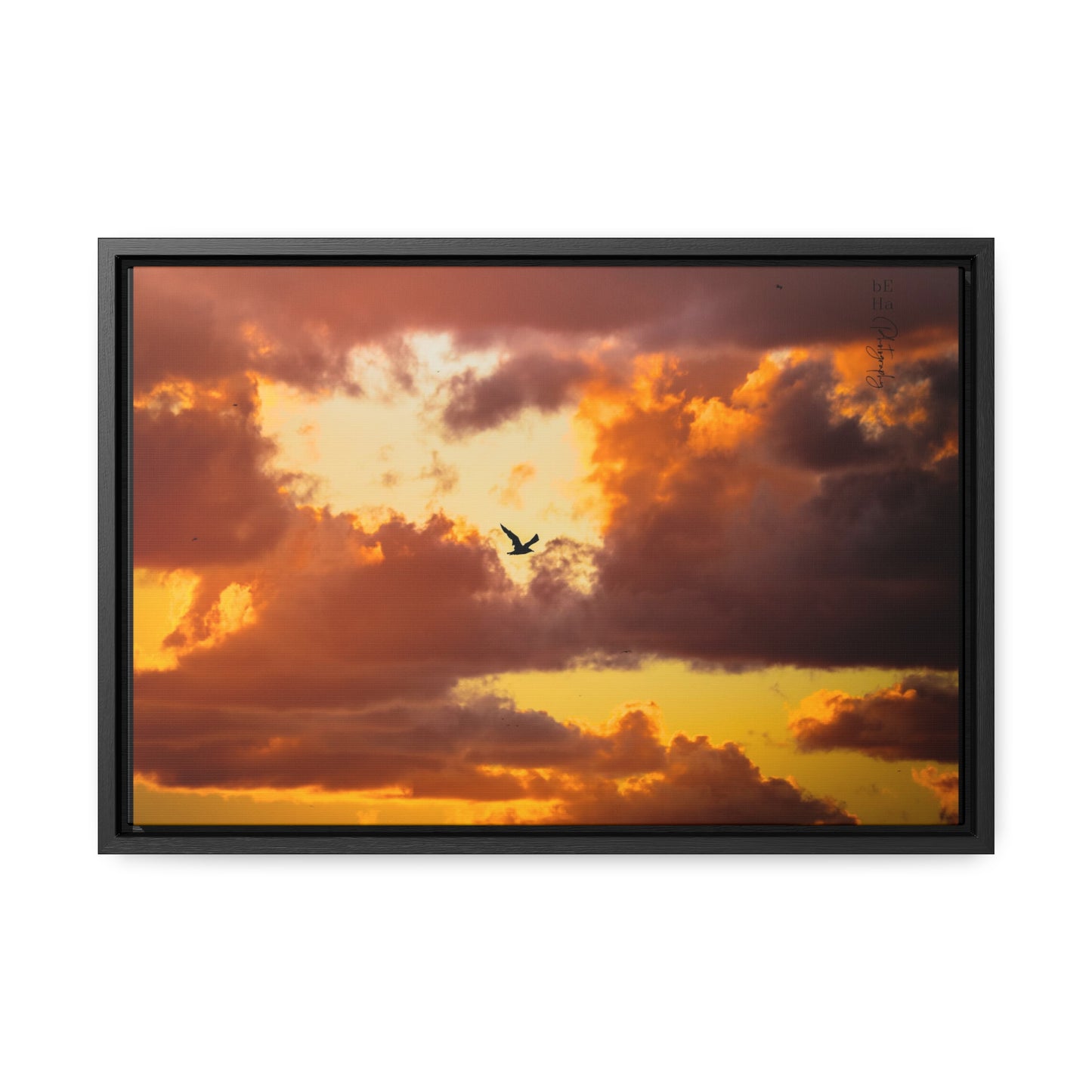 Galerie Toile Wraps, Cadre Horizontal - BeHaP One Bird