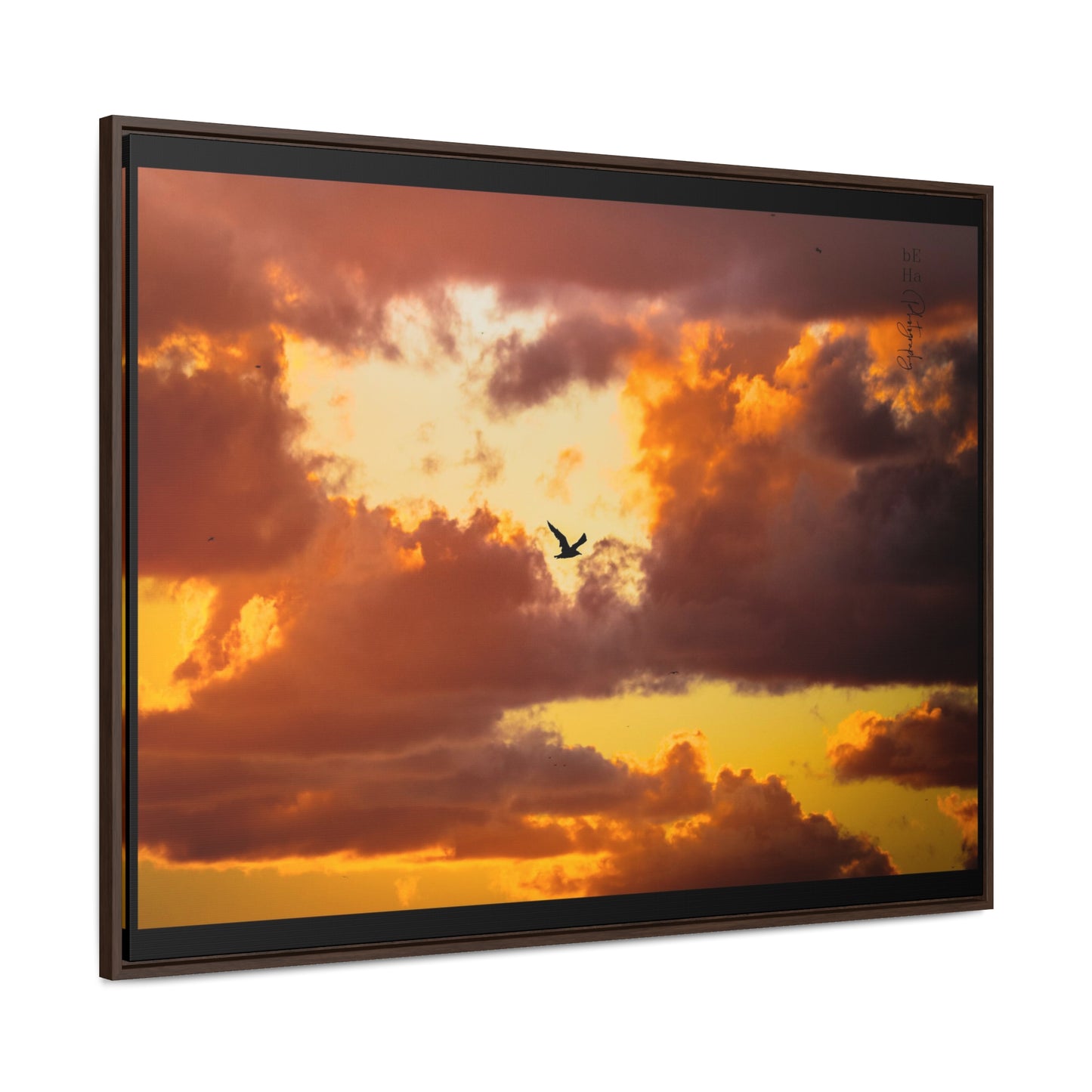 Galerie Toile Wraps, Cadre Horizontal - BeHaP One Bird