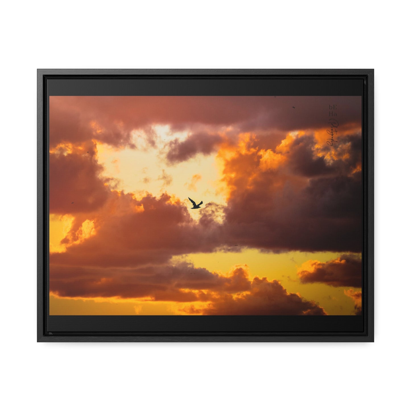Galerie Toile Wraps, Cadre Horizontal - BeHaP One Bird