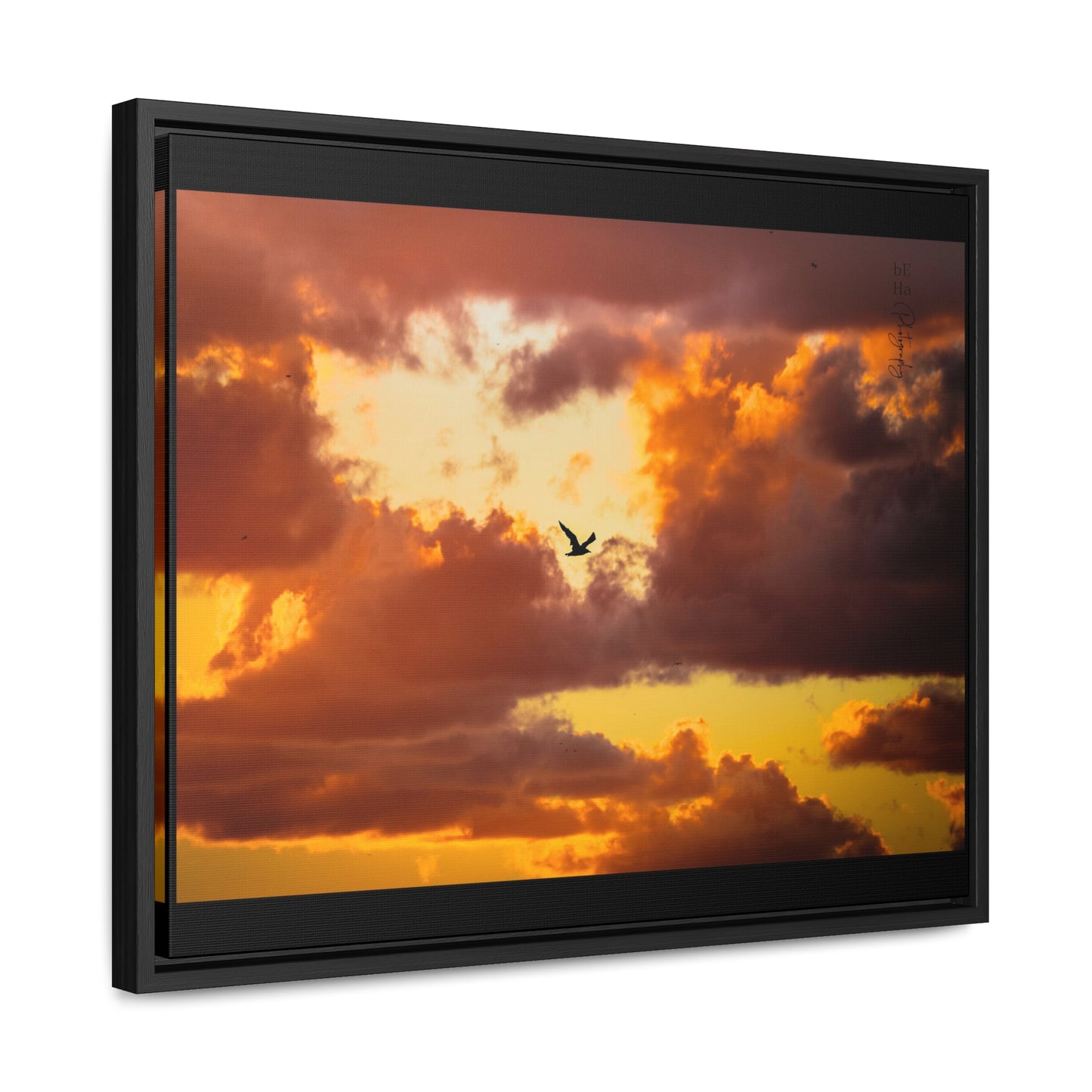 Galerie Toile Wraps, Cadre Horizontal - BeHaP One Bird